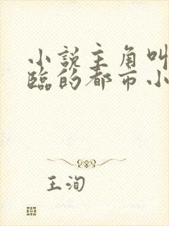 小说主角叫叶君临的都市小说封面