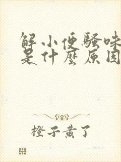 解小便骚味好重是什么原因