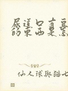 尿道口有豆腐渣的东西是怎么回事封面