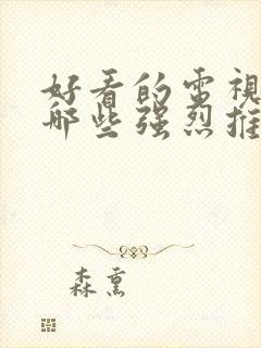 好看的电视剧有哪些强烈推荐