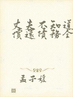 丈夫不知道妻子偿还债务全集观看