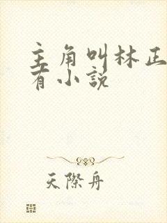 主角叫林正的所有小说封面