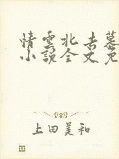 情云北去慕星辰小说全文免费阅读