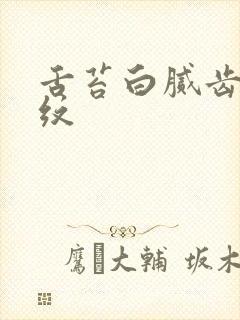 舌苔白腻齿痕裂纹