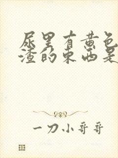 尿里有黄色豆腐渣的东西是什么情况