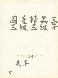 国产精品三级a三级三级午夜