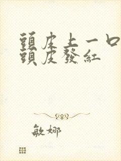 头皮上一口一块头皮发红