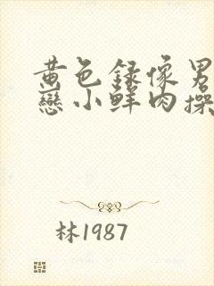 黄色录像男同性恋小鲜肉操老太婆封面