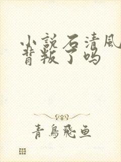 小说石清风最后背叛了吗