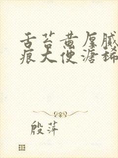 舌苔黄厚腻有齿痕大便溏稀