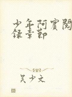 少年阿宾阅读目录章节