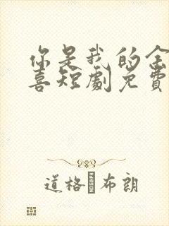 你是我的余生欢喜短剧免费观看全集