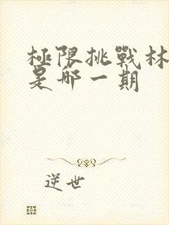 极限挑战林更新是哪一期