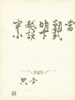 穿越明朝当皇帝小说下载