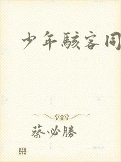 少年骇客同人表