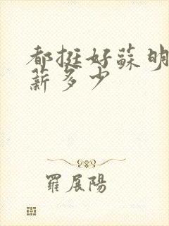 都挺好苏明玉年薪多少