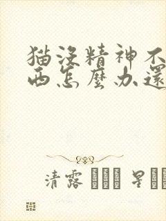 猫没精神不吃东西怎么办还呕吐封面