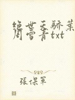 绝世天骄叶凌天周雪青txt
