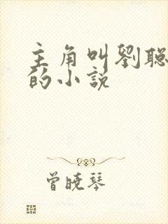 主角叫刘聪赵兰的小说