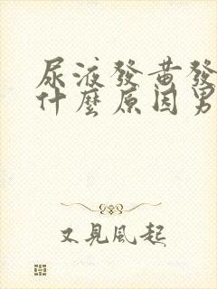 尿液发黄发臭是什么原因男