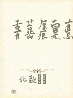 舌苔厚白有裂纹有齿痕是怎么调理