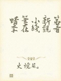 蜡笔小新第10季在线观看全集免费