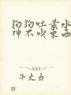 狗狗吐黄水没精神不吃东西怎么办