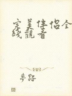 完美伴侣全集在线观看