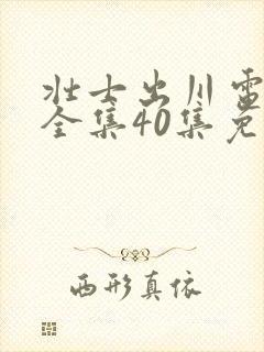 壮士出川电视剧全集40集免费观看封面