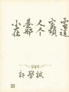 小巷人家电视剧在哪个频道播出