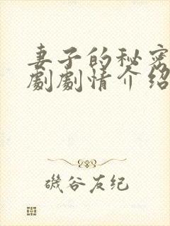 妻子的秘密电视剧剧情介绍