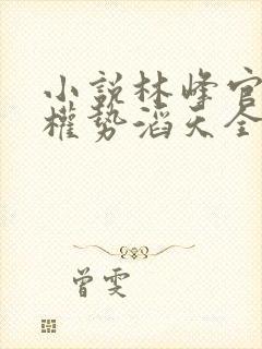 小说林峰官道之权势滔天全文阅读