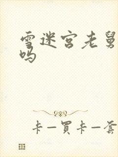 雪迷宫老舅死了吗