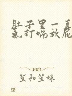 肚子里一直有胀气打嗝放屁封面