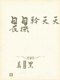 日日干天天干夜夜操封面