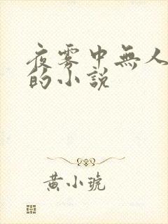 夜雾中无人爱我的小说