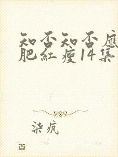 知否知否应是绿肥红瘦14集免费观看封面