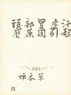 头部冒虚汗是什么原因引起的