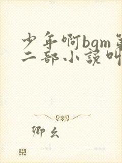 少年啊bgm第二部小说叫什么