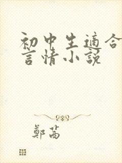 初中生适合看的言情小说封面