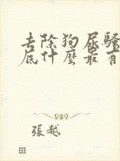 去除狗尿骚味到底什么最有效