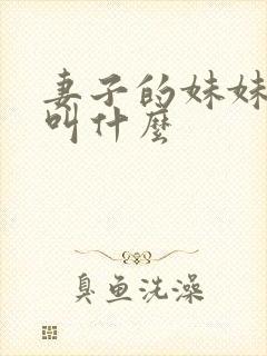 妻子的妹妹丈夫叫什么