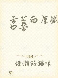 舌苔白厚腻口干口苦