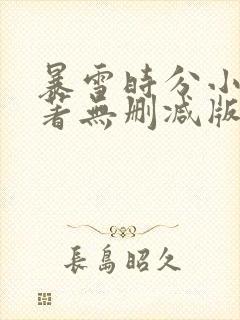 暴雪时分小说原著无删减版