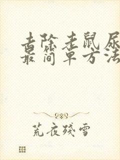 去除老鼠尿骚味最简单方法