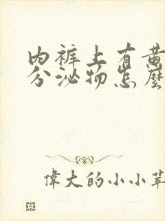 内裤上有黄黄的分泌物怎么回事