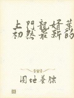 上门龙婿叶辰萧初然最新的