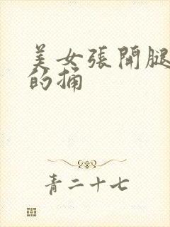 美女张开腿被男的捅