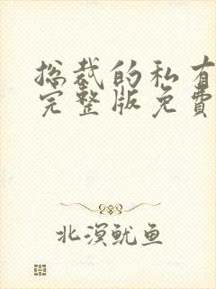 总裁的私有宝贝完整版免费阅读