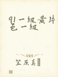 91一级黄片黄色一级